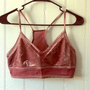 Gorgeous velvet sports bra from ALO